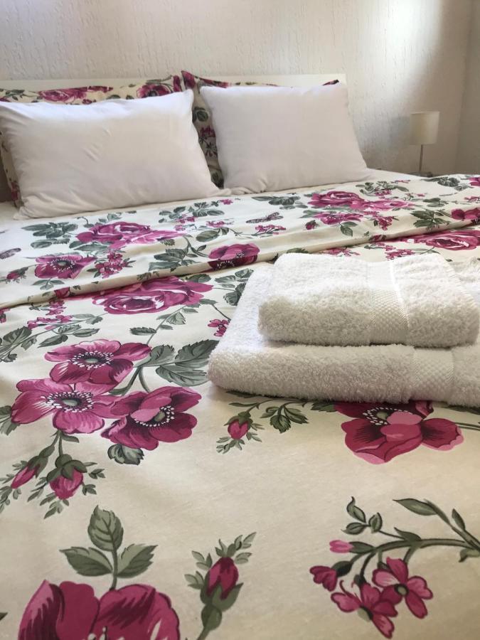 Apartman Studio Milojkovic Golubac Exteriör bild