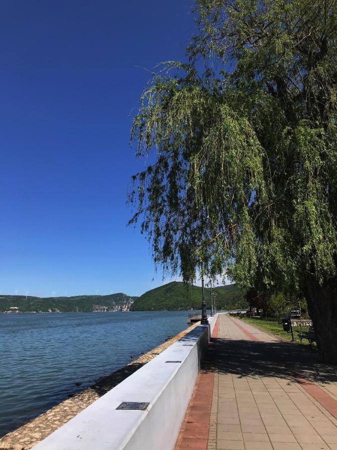 Apartman Studio Milojkovic Golubac Exteriör bild