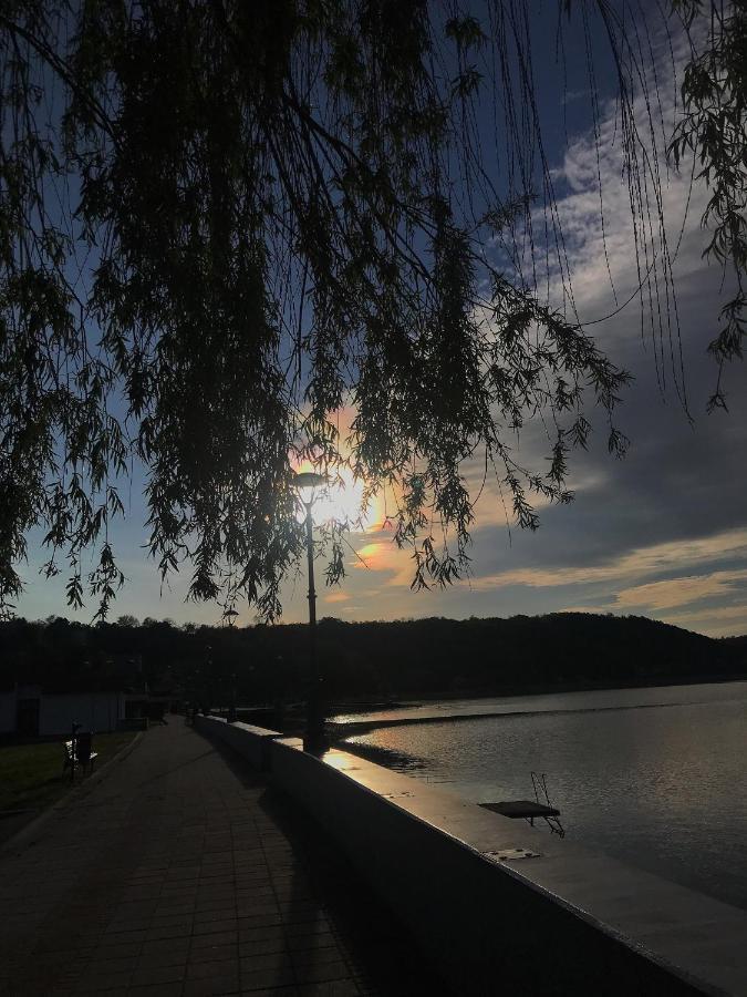 Apartman Studio Milojkovic Golubac Exteriör bild