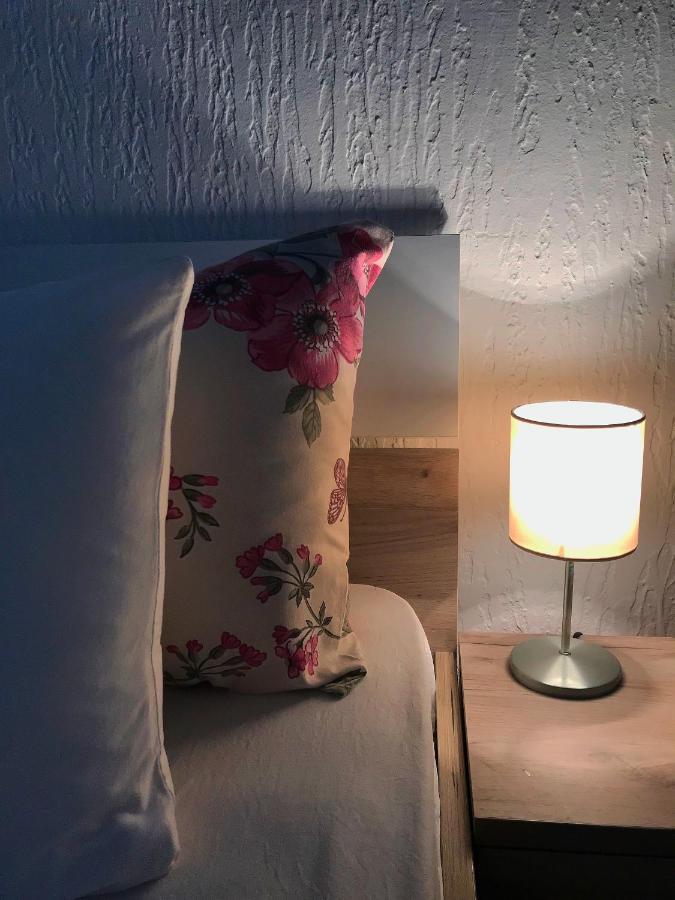 Apartman Studio Milojkovic Golubac Exteriör bild
