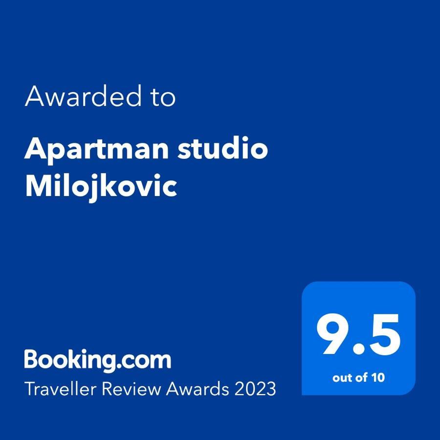 Apartman Studio Milojkovic Golubac Exteriör bild